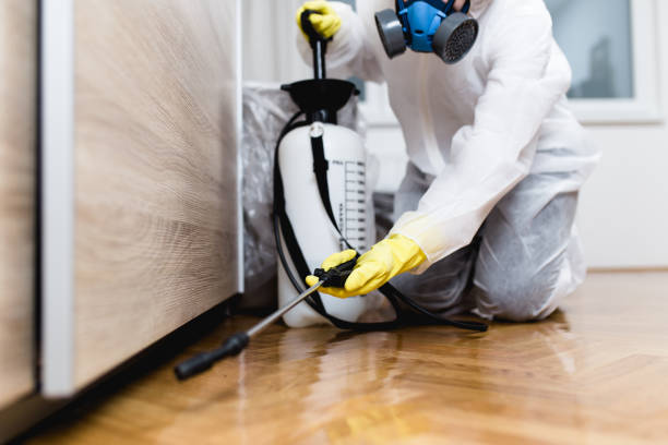 Best Ant Control Services  in Moore Haven, FL
