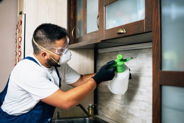 Best Bed Bug Extermination  in Moore Haven, FL