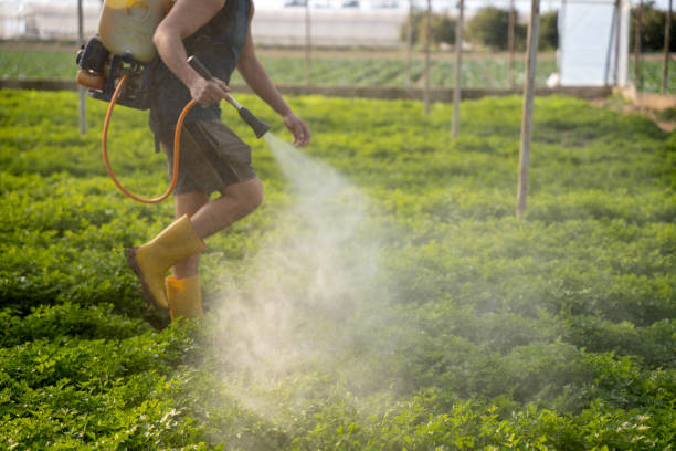 Pest Prevention Services in Moore Haven, FL