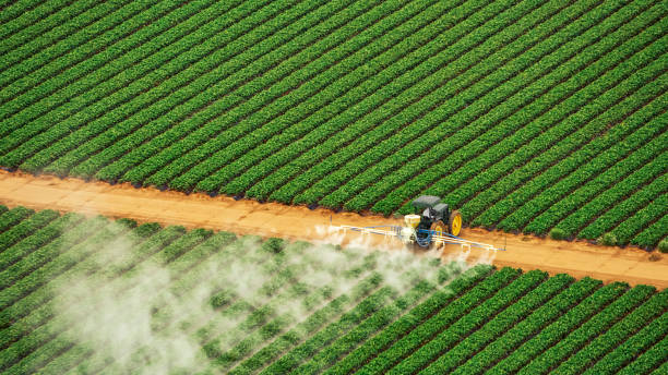 Best Best Pest Control Companies  in Moore Haven, FL