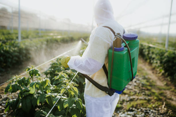 Best Exterminator Services  in Moore Haven, FL